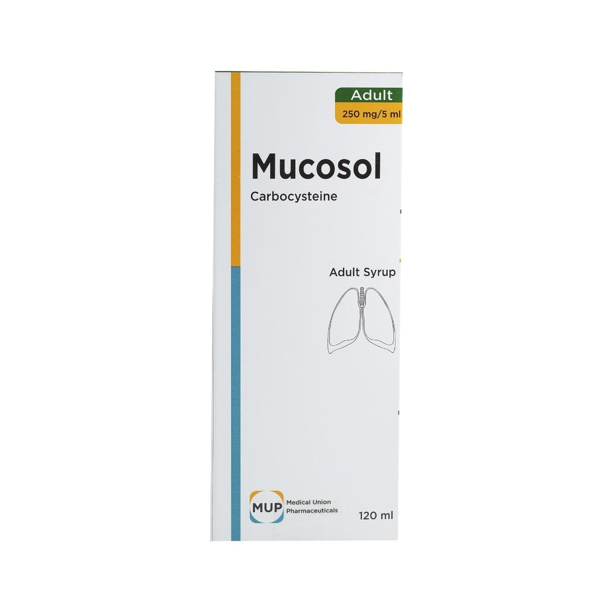 Mucosol 250 mg Adult Syrup - 120 ml - Bloom Pharmacy